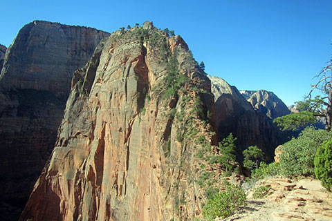 the Angels Landing route in Zion National Park