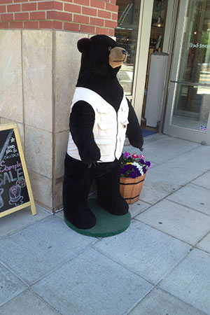 stuffed bear on the sidewalk of boulder's Pearl Street Mall.