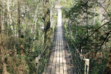 bridge over piney at fall creek