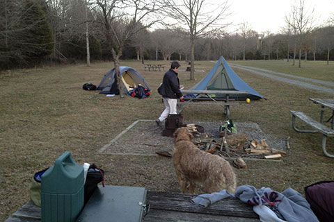 Camp at Long Hunter State Park