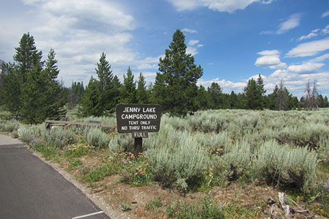 Jenny Lake Campground sign - FULL