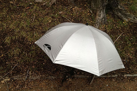 GoLite Chrome Dome umbrella