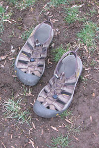 keen sandals