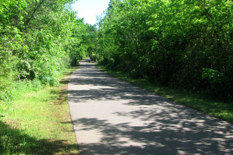 Stones River Greenway path