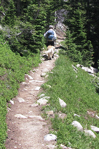 Augie following on the trail