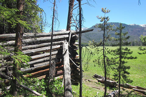 Log Cabin ruins in Big Meadow