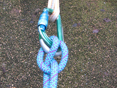clove hitch and carabiner