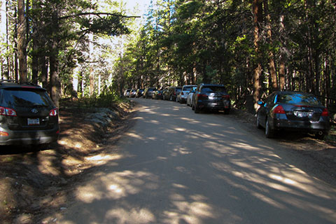 Cars lining Half Moon Road, parking to access the North Mount Elbert Trailhead