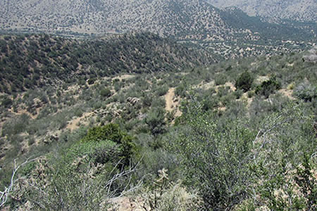 La Luz trail's lower slopes