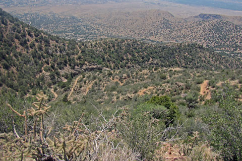 the lower La Luz trail on Sandia Mtn