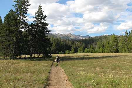 Amy and Augie crossing a meadow on a wide trail