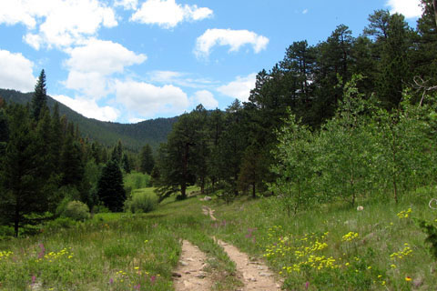 Homestead Meadow on the Lions Gulch Trail
