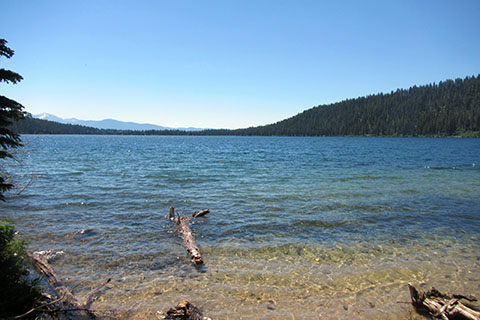 shore of Phelps Lake