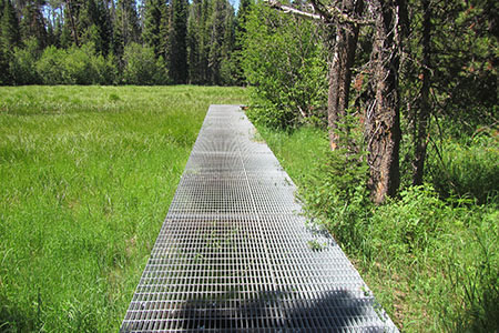 metal grate serves as a walkway over a marsh