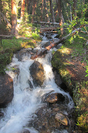creek following across the Colorado Trail