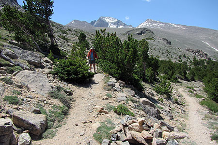 Amy switchbacking on the North Longs Peak trail