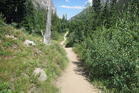 trail through Cascade Canyon