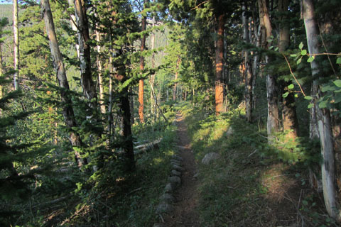 Finch Lake Trail