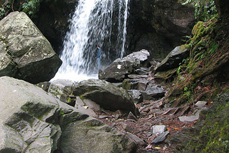 Grotto Falls on Trillium Gap Trail