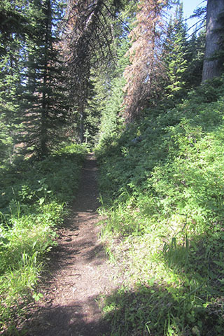 Valley Trail in the Tetons above Lake Bradley