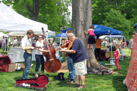 Bluegrass band playing in the Park