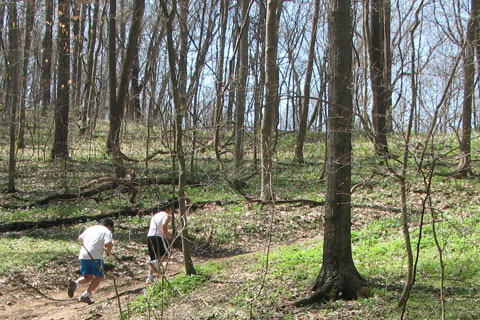 trail runners at Percy Warner Park