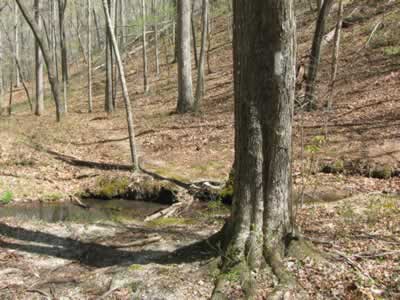 creek crossing Devils Backbone