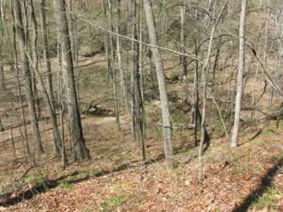 Spring Hollow, Devils Backbone