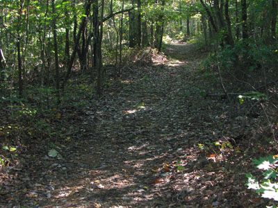 Trail at Beaman Park