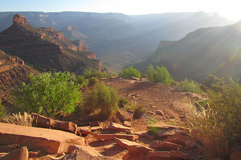 View from the Bright Angel Trail