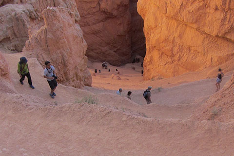 Crowds of hikers climb the trails of Bryce Canyon Natioanl Park