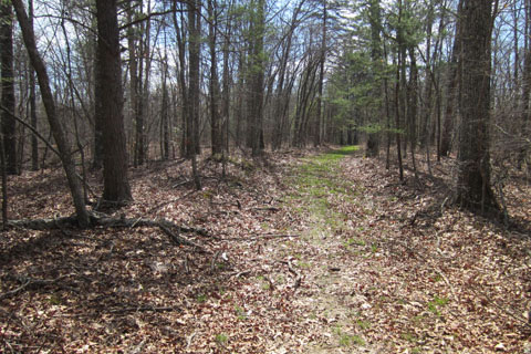 The trail in mid March