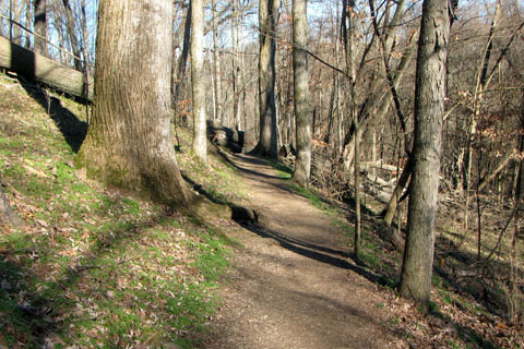 Harpeth Woods trail