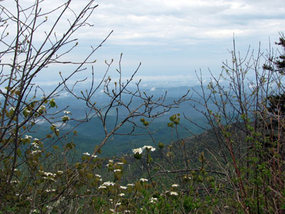 view of Gatlinburg from LeConte