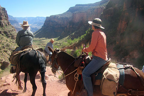 Mule riders descending into Grand Canyon