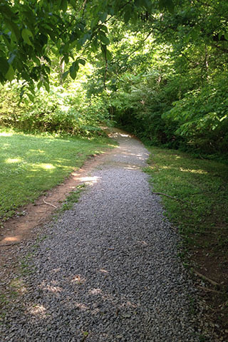 graveled section of the trail leading to bushes