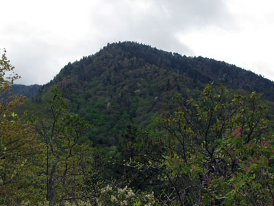 Mount LeConte