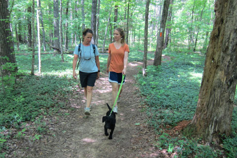 Loop trail with hikers and dog