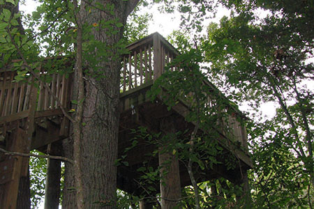 The wooden observation tower at the edge of the field