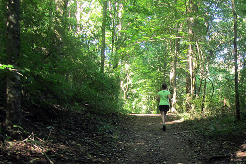 Running on the Old Natchez Trace
