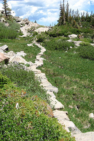 Trail leading to Sky Pond uses stepping stones to avoid damage to the drainage.