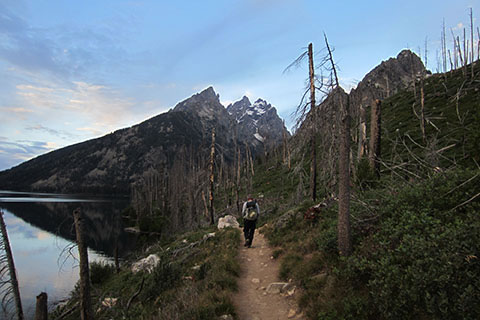 hiker walking along the Jenny Lake Trail toward the Catherdral Peaks