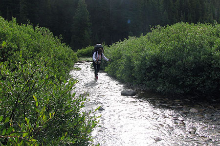 Water flowing down the wide trail
